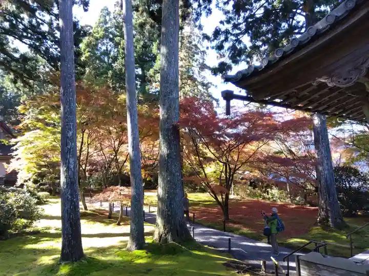 三千院門跡(京都府)