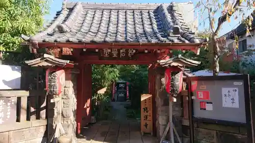 陽運寺の山門