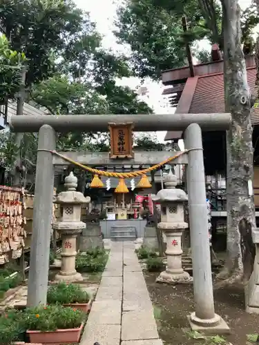 高円寺氷川神社の鳥居