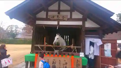 賀茂別雷神社（上賀茂神社）のその他建物