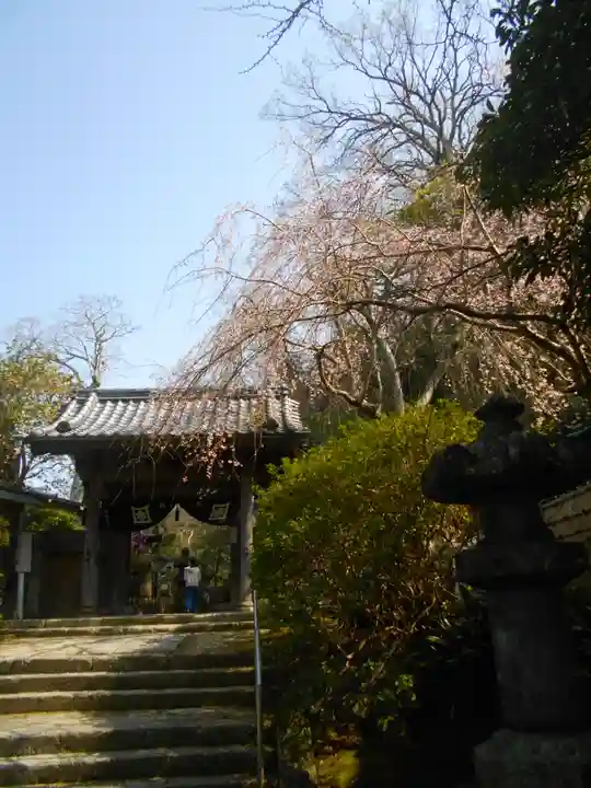 安國論寺(安国論寺)の山門・神門