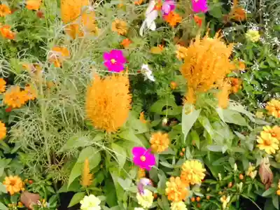 阿邪訶根神社(福島県)