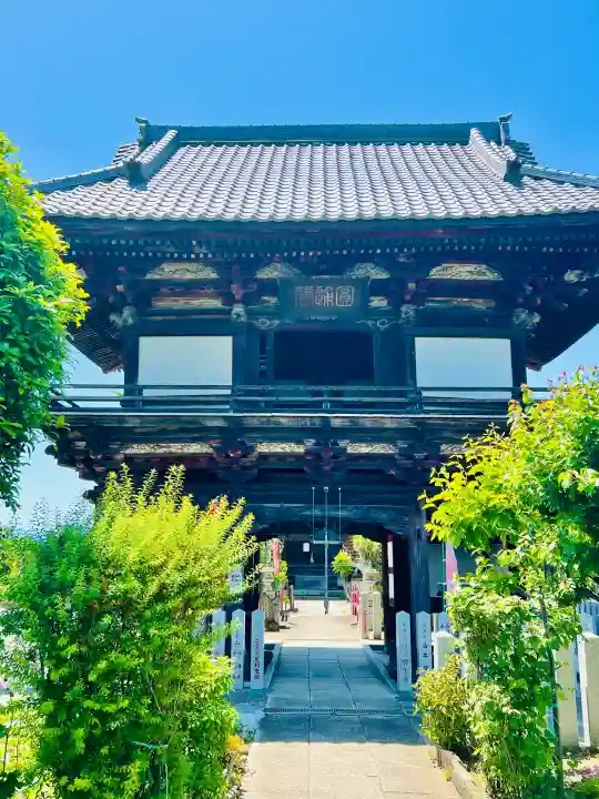 観音寺の{uncategorized: "未分類", other: "その他", undefined: "問題あり", building: "その他建物", grave: "お墓", sacred_gate: "鳥居", guardian: "狛犬", statue: "像", buddha: "仏像", history: "歴史", nature: "自然", garden: "庭園", animal: "動物", pagoda: "塔", temizu: "手水舎", mountain_gate: "山門・神門", sanctuary: "本殿・本堂", subordinate: "末社・摂社", art: "芸術", scenery: "景色", jizo: "地蔵", ema: "絵馬", goshuin: "御朱印", omikuji: "おみくじ", items: "授与品その他", amulet: "お守り", goshuincho: "御朱印帳", eats: "食事", festival: "お祭り", votive_dance: "神楽", shichigosan: "七五三参", wedding: "結婚式", experience: "体験その他", initially: "初詣", around: "周辺", anti_infection: "感染症対策"}