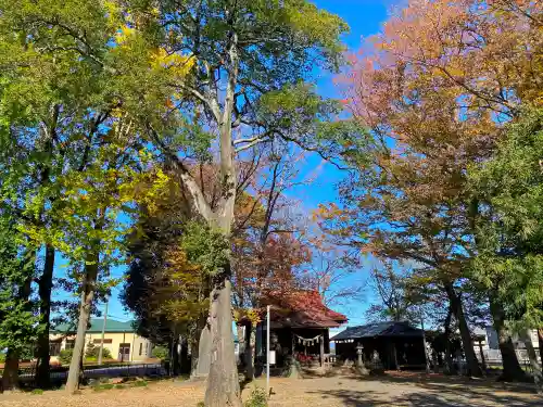 七本木神社(埼玉県)