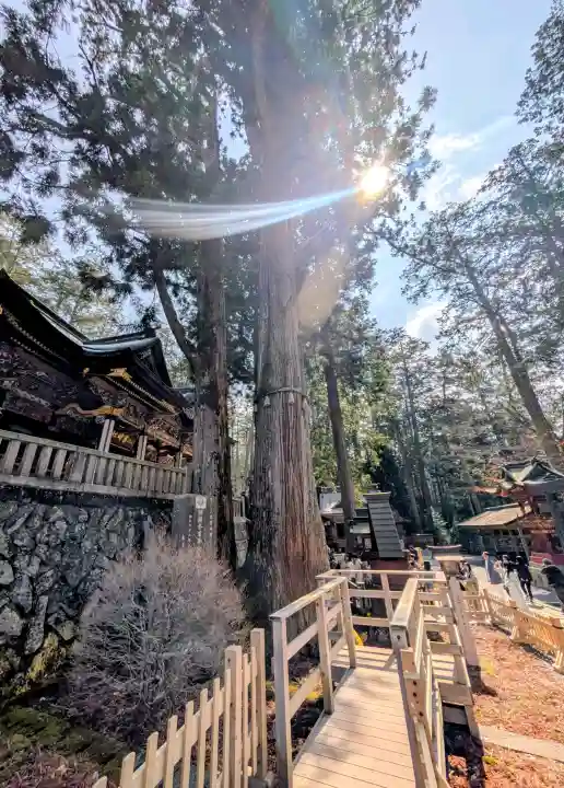 三峯神社(埼玉県)