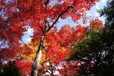 輪王寺(栃木県)