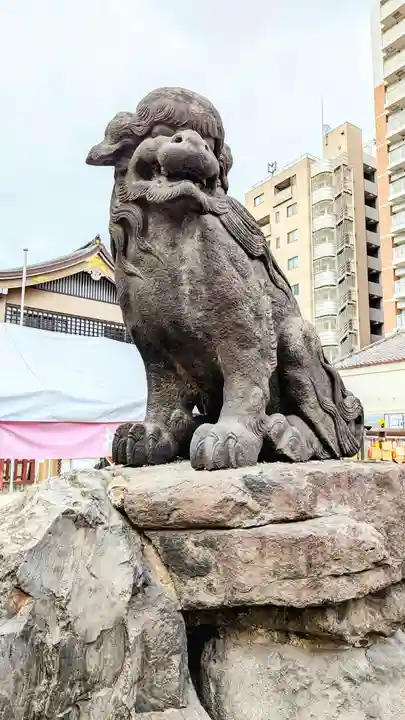 浅草神社の狛犬