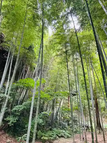 英勝寺(神奈川県)