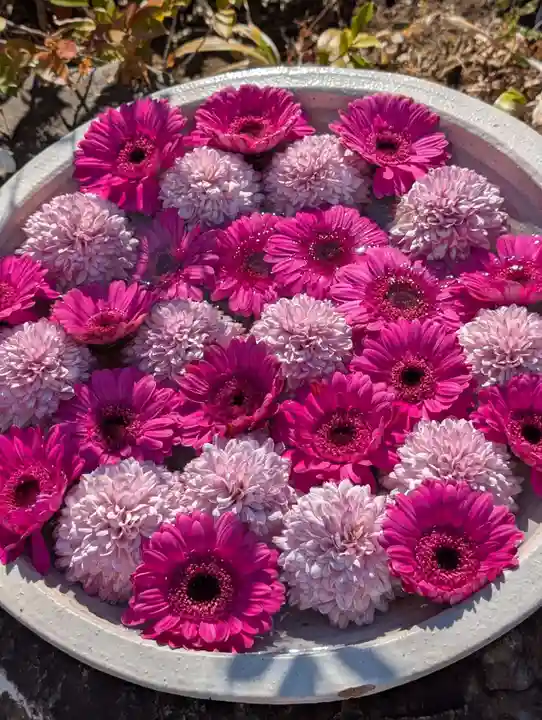 法輪寺(東京都)