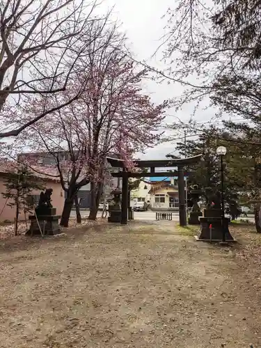 信濃神社の鳥居