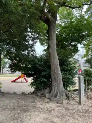 大鳥北濵神社(大阪府)