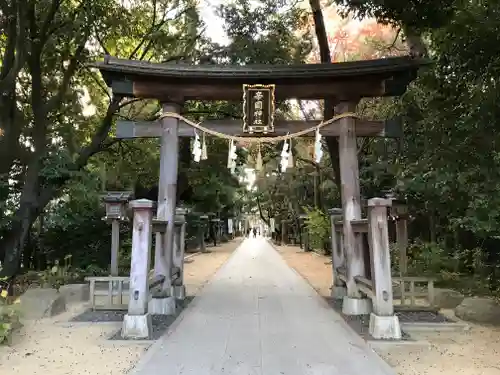 辛國神社の鳥居