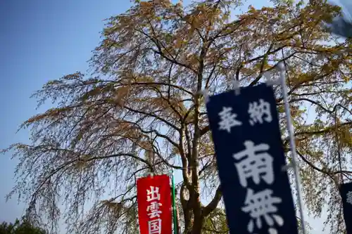 千手院の庭園