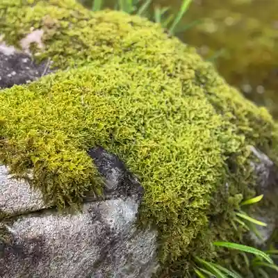 伊勢の国 四天王寺(三重県)