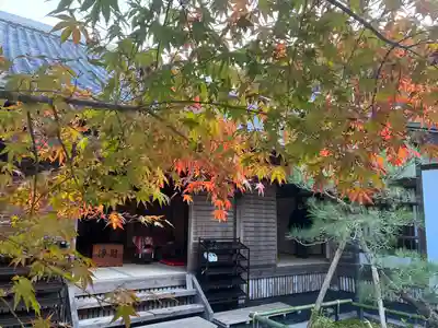 圓光寺(京都府)