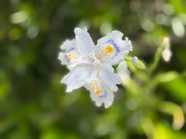 西方山極楽寺(岐阜県)