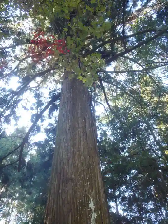 賀茂原神社(愛知県)
