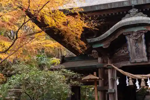 柞原八幡宮(大分県)