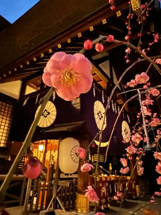 東京大神宮(東京都)