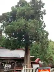 鼬幣稲荷神社(岩手県)