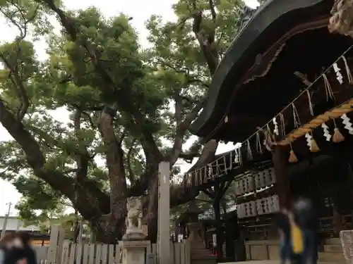 石切劔箭神社の本殿