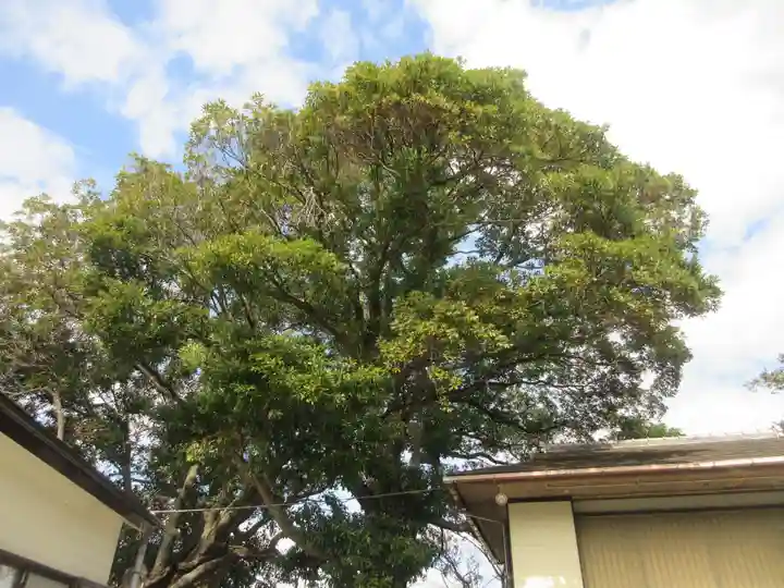 天照大神(神奈川県)