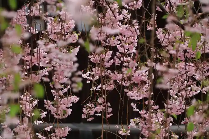 豊景神社の庭園
