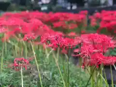 木舟山　順教寺の自然