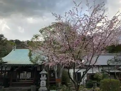 城願寺(神奈川県)