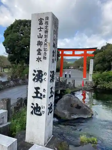 富士山本宮浅間大社(静岡県)