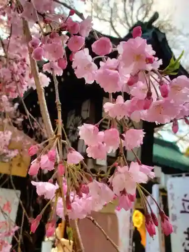 大宮八幡宮(東京都)