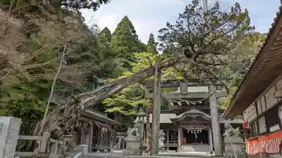 飛龍八幡宮(山口県)