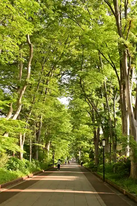 武蔵一宮氷川神社(埼玉県)
