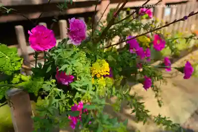 座間神社(神奈川県)