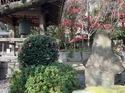 瑞聖寺(東京都)