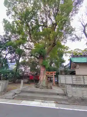 綿神社の自然