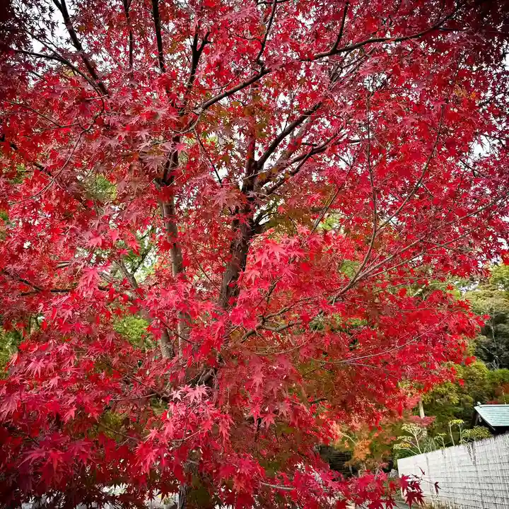 伊勢の国 四天王寺(三重県)