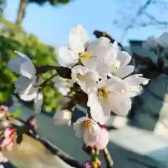 豊景神社の自然