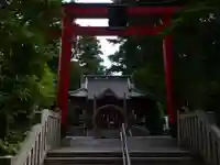 白笹稲荷神社の鳥居