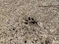 諏訪神社(千葉県)