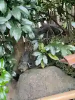 元祇園梛神社・隼神社(京都府)