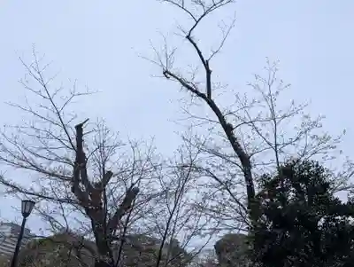 千鳥ヶ淵戦没者墓苑(東京都)