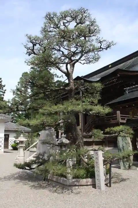 沙沙貴神社(滋賀県)