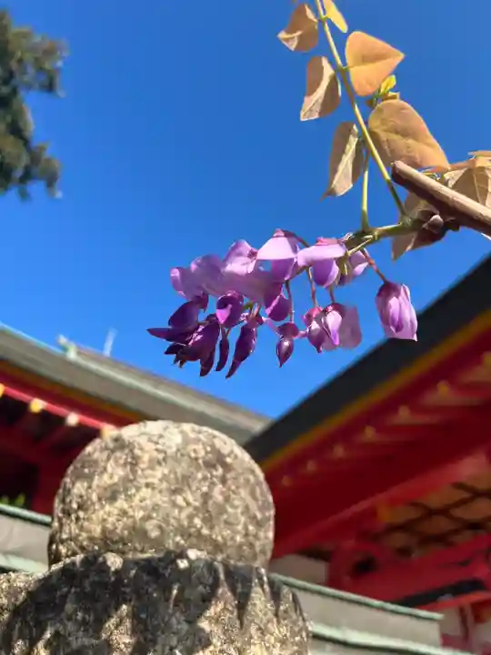 奈加美神社の景色