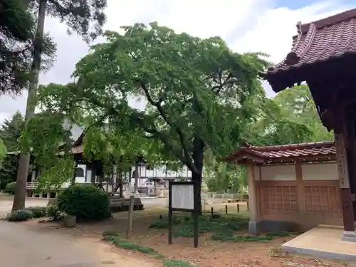 妙宣寺のその他建物