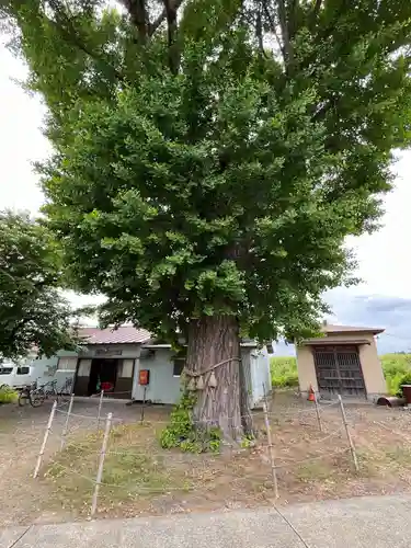 八幡神社(宮城県)