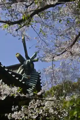 三嶋大社(静岡県)