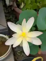 宗興寺(神奈川県)