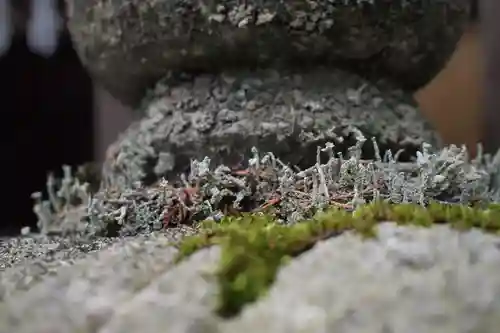 三峯神社の自然
