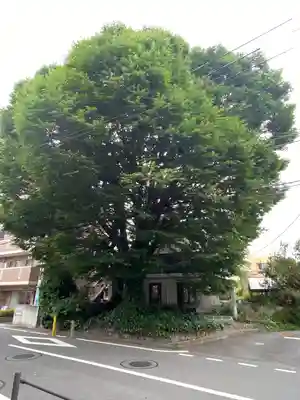小野神社(東京都)